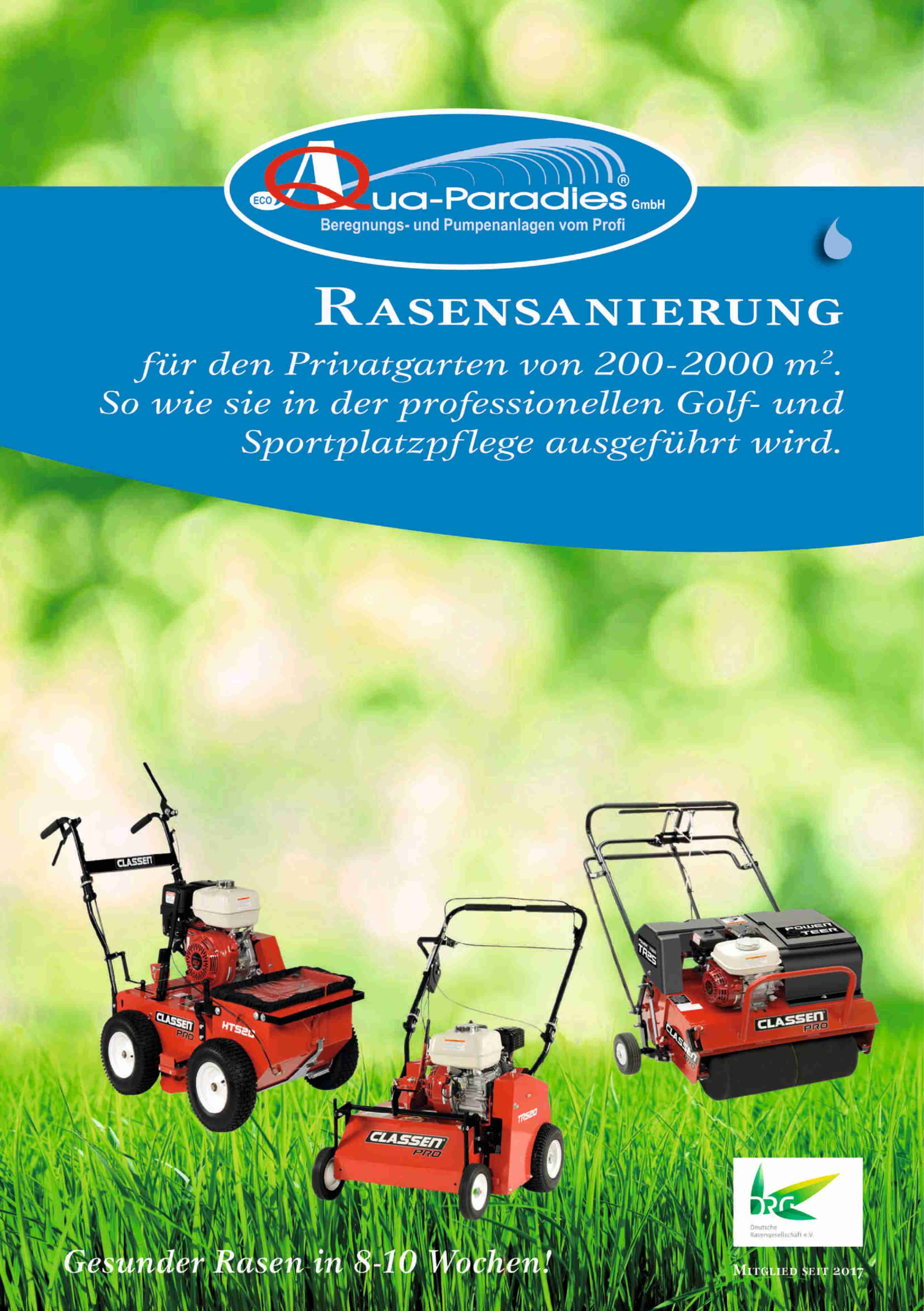 Rasenregenerierung